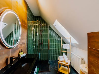 Telluride Apartment