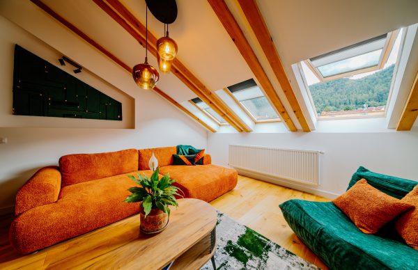 Telluride Apartment