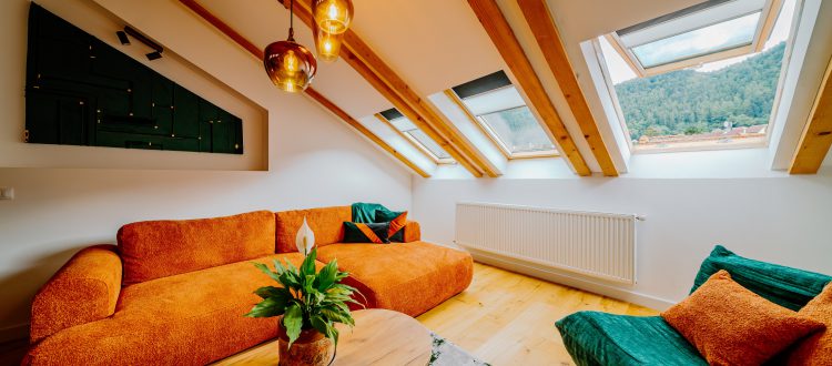 Telluride Apartment